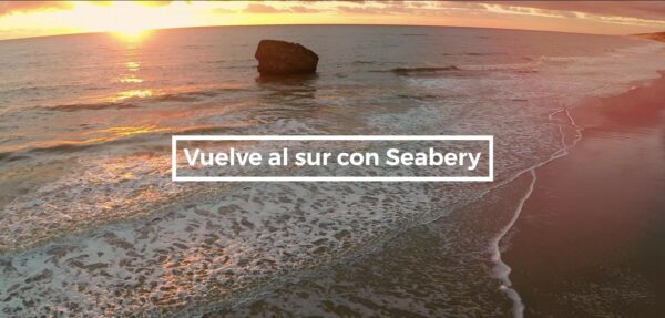 Video-Vuelve-al-Sur_Moment-min-copia