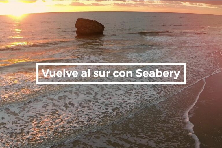 Video-Vuelve-al-Sur_Moment-min-copia